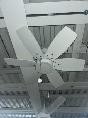Fan ceiling 32" white finsih