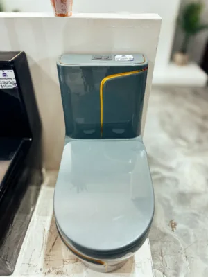 Toilet Complete One Pc Gray