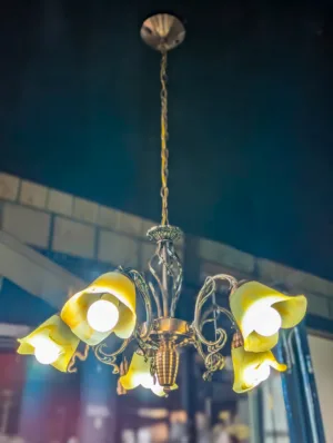 Traditional 5-Light Brass Chandelier – Floral Glass Shade Ceiling Light with Classic Curved Arms